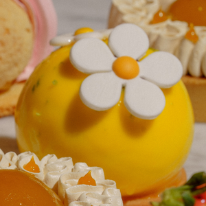 Passion Fruit Cheesecake